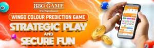 wingo colour prediction game | strategic play and secure fun